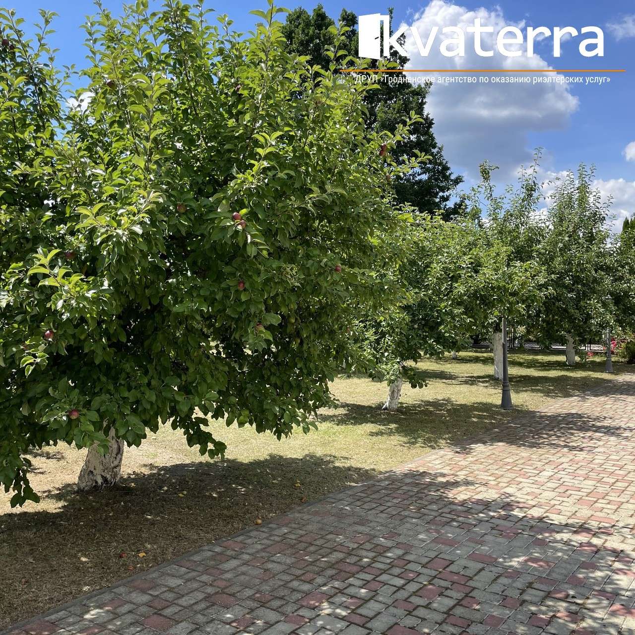 Дом   по адресу Озеры, Кирова, 101