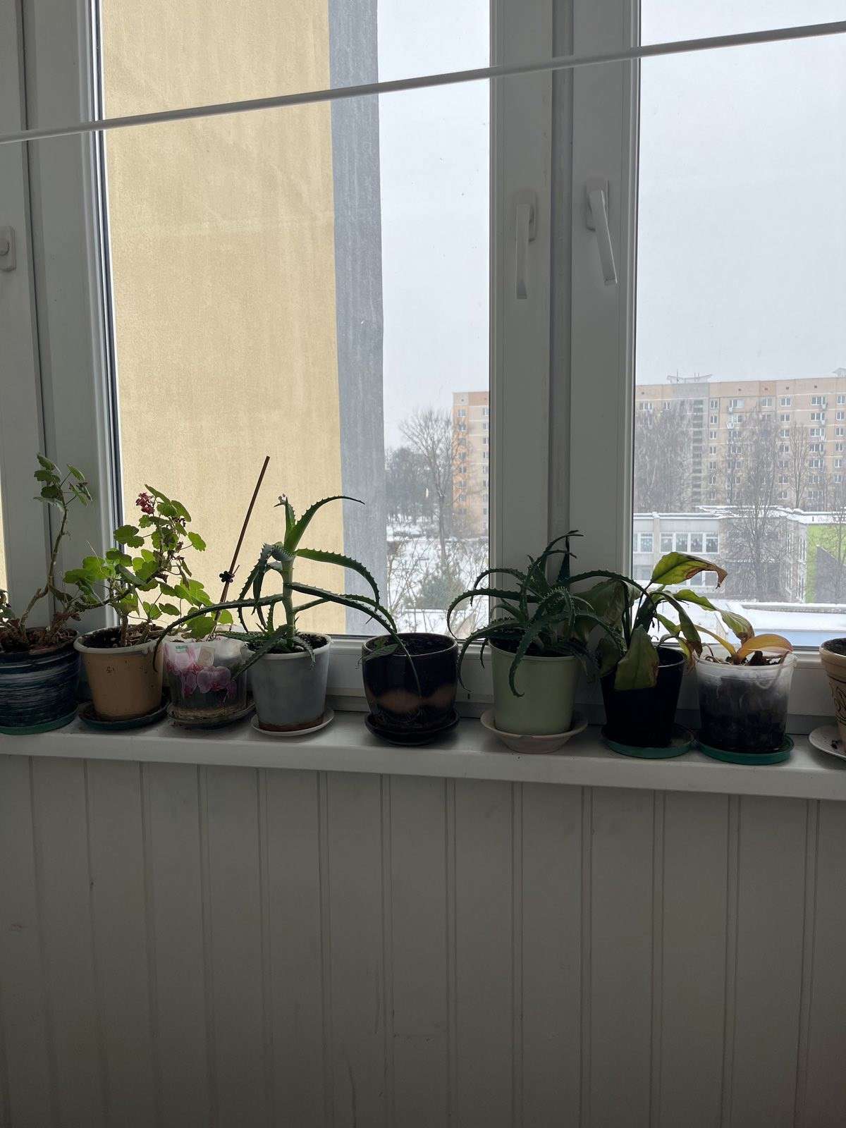 3 комнатная квартира  по адресу Гродно, Репина, 5