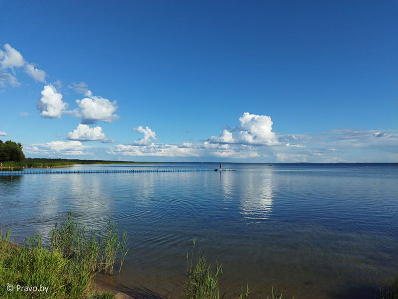 Какие водоемы Беларуси будут предоставляться в аренду для ведения рыболовного хозяйства и рыбоводства? Обновлены перечни 